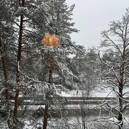 Arctic Pine Base Rovaniemi
