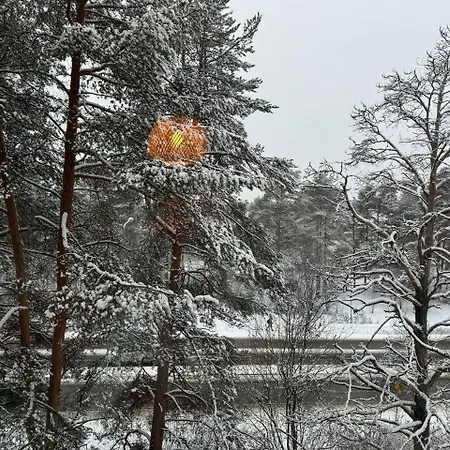 Arctic Pine Base * Rovaniemi
