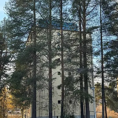 Arctic Pine Base