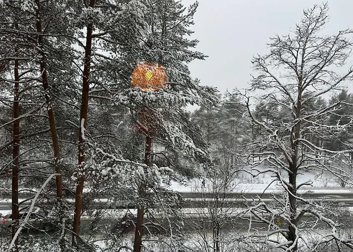 Arctic Pine Base Ροβανιέμι